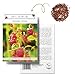 Erdbeeren Samen (Fragaria) - Nährstoffreiche Erdbeer Samen ideal für die Anzucht im Garten, Balkon oder Terrasse neu 2024