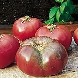 Photo Burpee 'Cherokee Purple' Heirloom | Large Slicing Tomato | Rich Flavor, best price $7.30, bestseller 2024