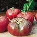 Burpee 'Cherokee Purple' Heirloom | Large Slicing Tomato | Rich Flavor new 2024