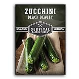 Photo Survival Garden Seeds - Black Beauty Zucchini Seed for Planting - Pack with Instructions to Plant and Grow Dark Green Zucchini in Your Home Vegetable Garden - Non-GMO Heirloom Variety - 1 Pack, best price $4.99, bestseller 2024