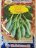 Photo Golden Mountain, Thai Eggplant Seeds Medium Green Oval (Rugby) Variety, best price $6.99, bestseller 2024