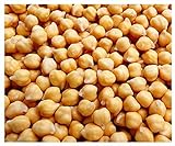Photo Garbanzo Bean Seeds - Chickpea Seeds - 30+ Seeds, best price $9.99 ($19.98 / Ounce), bestseller 2024