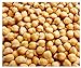Garbanzo Bean Seeds - Chickpea Seeds - 30+ Seeds new 2024