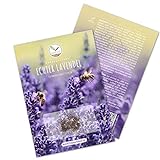 Foto 300x Lavendel Samen mit hoher Keimrate - Vielseitig einsetzbare Heilpflanze & ideal für Bienen und Schmetterlinge (inkl. GRATIS eBook), bester Preis 4,90 €, Bestseller 2024