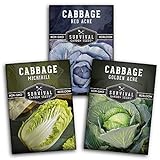 Photo Cabbage Collection Seed Vault - Non-GMO Heirloom Survival Garden Seeds for Planting - Red Acre, Golden Acres, and Michihili (Napa) Cabbage Seed Packets to Grow Your Own Healthy Cruciferous Vegetables, best price $8.99, bestseller 2024