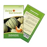 Foto Zuckermelonen Charentais Samen - Cucumis melo - Melonensamen - Obstsamen - Saatgut für 15 Pflanzen, bester Preis 1,99 € (0,13 € / stück), Bestseller 2024