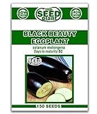 Photo Black Beauty Eggplant Seeds - 150 Seeds Non-GMO, best price $1.59 ($0.01 / Count), bestseller 2024