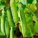 Sugar Snap Pea Garden Seeds - 5 Lbs - Non-GMO, Heirloom Vegetable Gardening Seed new 2024