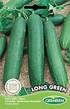 Foto Germisem Long Green Semillas de Pepino 3 g, mejor precio 2,21 €, éxito de ventas 2024