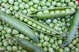Photo Willet's Wonder English Pea - Very Prolific and Tasty! Green Sweet Peas!!!!Mmmmm(100 - Seeds), best price $7.69 ($0.08 / Count), bestseller 2024