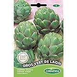 Foto Germisem Vert de Laon Semillas de Alcachofa 1 g, mejor precio 2,21 €, éxito de ventas 2024