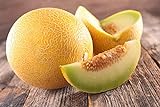 Photo Lot de 50 Graines de Melon Ananas - chair orange, sucrée, juteuse et très parfumée - culture facile - la plante peut porter jusqu’à 6/8 fruits - vigoureuse et très ramifiée - semences reproductibles, meilleur prix 4,99 €, best-seller 2024