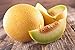 Lot de 50 Graines de Melon Ananas - chair orange, sucrée, juteuse et très parfumée - culture facile - la plante peut porter jusqu’à 6/8 fruits - vigoureuse et très ramifiée - semences reproductibles nouveau 2022