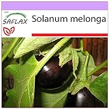 Foto SAFLAX - Berenjena - 20 semillas - Solanum melonga, mejor precio 3,95 €, éxito de ventas 2024