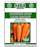 Photo Danvers Half Long Carrot Seeds - 1000 Seeds Non-GMO, best price $1.59, bestseller 2024