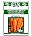 Danvers Half Long Carrot Seeds - 1000 Seeds Non-GMO new 2023