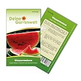 Foto Wassermelonen Sugar Baby Samen - Citrullus lanatus - Wassermelonensamen - Obstsamen - Saatgut für 10 Pflanzen, bester Preis 1,99 € (0,20 € / stück), Bestseller 2024