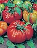 Photo Tomato, Beefsteak, Heirloom, 25+ Seeds, Great Sliced Tomato, Delicious, best price $1.99 ($0.08 / Count), bestseller 2024