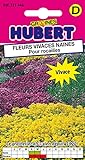 Photo Mélange de Graines de Fleurs Vivaces Naines Pour Rocailles - 0,5 grammes, meilleur prix 4,65 €, best-seller 2024