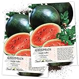 Photo Seed Needs, Sugar Baby Watermelon (Citrullus lanatus) Twin Pack of 100 Seeds Each Non-GMO, best price $4.85 ($0.05 / Count), bestseller 2024