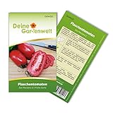Foto Flaschentomaten San Marzano 2 Samen - Solanum lycopersicum - Tomatensamen - Gemüsesamen - Saatgut für 20 Pflanzen, bester Preis 1,99 € (0,10 € / stück), Bestseller 2024