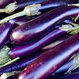 Photo David's Garden Seeds Eggplant Long Purple 1131 (Purple) 50 Non-GMO, Heirloom Seeds, best price $4.45, bestseller 2024