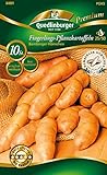Foto Quedlinburger 84001 Kartoffel Bamberger Hörnchen (10 Stück) (gelb, festkochend, mittelfrüh/mittelspät) (Pflanzkartoffeln), bester Preis 7,99 €, Bestseller 2024