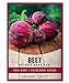 Beet Seeds for Planting Detroit Dark Red 100 Heirloom Non-GMO Beets Plant Seeds for Home Garden Vegetables Makes a Great Gift for Gardeners by Gardeners Basics new 2022