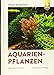 Aquarienpflanzen: 500 Arten im Porträt neu 2024