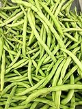 Photo Petite Fillet French Bean Seeds for Planting 1/4 OZ, Non-GMO, American Seeds, Heirloom, Phaseolus vulgaris, best price $6.99, bestseller 2024