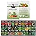 Survival Garden Seeds Home Garden Collection Vegetable & Herb Seed Vault - Non-GMO Heirloom Seeds for Planting - Long Term Storage - Mix of 30 Garden Essentials for Homegrown Veggies new 2024