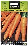 Foto Batlle Gemüsesamen - Möhre Chantenay rotes Herz (7500 Samen), bester Preis 4,95 €, Bestseller 2024