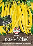 Foto 80002 Sperli Premium Buschbohnen Samen Berggold | Ertragreich | Fadenlos | Buschbohnen Samen ohne Fäden | Ackerbohnen Saatgut, bester Preis 3,48 € (3,48 € / count), Bestseller 2024