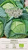 Foto Organic Way | WIRSING VERTUS 2 samen | Gemüsesamen | Kohlsamen | Garten Samen | Mittelfrühsorte für die Sommer- bzw. Herbsternte | 1 Pack, bester Preis 2,88 €, Bestseller 2024