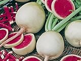 Foto Radieschen - Radies - Winterradieschen - Wassermelone (100 Samen), bester Preis 2,15 € (0,02 € / stück), Bestseller 2024