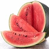 Photo Black Diamond Watermelon Seeds, 50 Heirloom Seeds Per Packet, Non GMO Seeds, best price $6.25 ($0.12 / Count), bestseller 2024