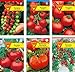 Frankonia-Samen / Tomatensamen-Sortiment / 6 Tomatensorten / Tomate Supersweet / Tomate Harzfeuer / Tomate Matina / Tomate Hellfrucht / Fleischtomate / Tomate Balkonzabuber neu 2024