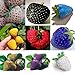 100 PC/bolso Semillas de color R paja arco fresas fruta multicolor Semillas Semilla Jardín Macetas y ERS nuevo 2024