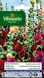 Photo Vilmorin 5751742 Pack de Graines Rose Trémière Double Grande Variée, meilleur prix 4,78 €, best-seller 2024