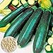 Gemüsesamensorten - 25Pcs Koreanische grüne Zucchini Samen Garten Hof Gemüse Kletterpflanze Kinder Anfänger Gärtner Geschenk -1 # neu 2024