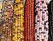 Mountain Indian Corn Seeds for Planting Outdoors, 100+ Rainbow Corn Seeds ( Mixed Painted Mountain Indian Corn ), Rainbow Corn Seeds, Ornamental Corn new 2024