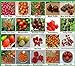 Tomaten Set 2 : TOP Qualität Saatgut aus Deutschland, 20 Sorten, Ohne Gentechnik, 100% samenfest, Tomate Fleischtomate Cherrytomate, Sammlung von Raritäten neu 2024