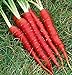 Atomic Red Carrots, 250 Heirloom Seeds Per Packet, Non GMO Seeds, (Isla's Garden Seeds), Botanical Name: Daucus Carrota, 80% Germination Rates new 2024