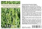 Foto Seedeo® Zuckererbse Schweizer Riesen (Pisum sativum L. convar. Axiphium) ca. 50 Samen BIO, bester Preis 2,95 €, Bestseller 2024