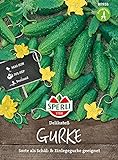 Foto 80926 Sperli Premium Gurken Samen Landgurke Delikateß | Freilandgurke | Gewächshausgurke | Gurken Samen Freiland | Gurken Saatgut, bester Preis 3,13 €, Bestseller 2024