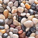 Photo 5.7lb River Rock Stones Pebbles - Natural Decorative Polished Mixed Pebbles Gravel, Small Decorative Polished Gravel，for Plant Aquariums, Landscaping, Ponds,terrariums Vase Fillers，DIY，Home Decor etc., best price $16.99, bestseller 2024