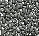 Photo Bean Seed, Black Turtle Bush Bean, Heirloom, Non GMO, 100 Seeds, Terrific Black Beans, best price $3.99, bestseller 2024