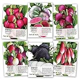 Photo Seed Needs, Multicolor Radish Seed Packet Collection (6 Individual Packets) Non-GMO Seeds, best price $11.85, bestseller 2024