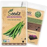 Photo Organic Green Bean Seeds, APPR. 125, Green Bean, Heirloom Vegetable Seeds, Certified Organic, Non GMO, Non Hybrid, USA, best price $7.88, bestseller 2024
