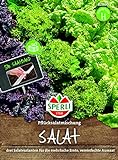 Foto 82860 Sperli Premium Salat Samen Mix | Pflücksalat Salatmischung | Saatband | Salat Saatgut | Salat Mix Samen, bester Preis 3,72 €, Bestseller 2024